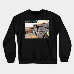 The Trusting Crewneck Sweatshirt